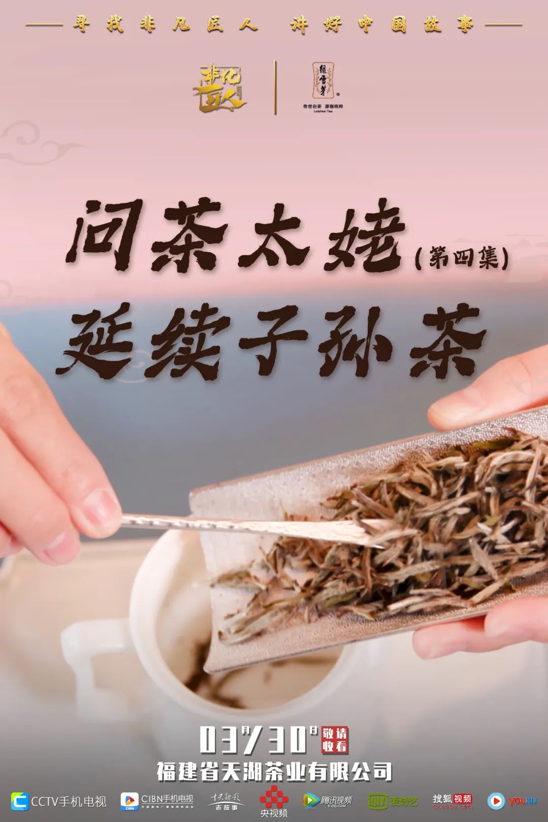 福鼎白茶