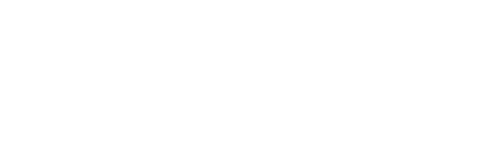 庄园白茶